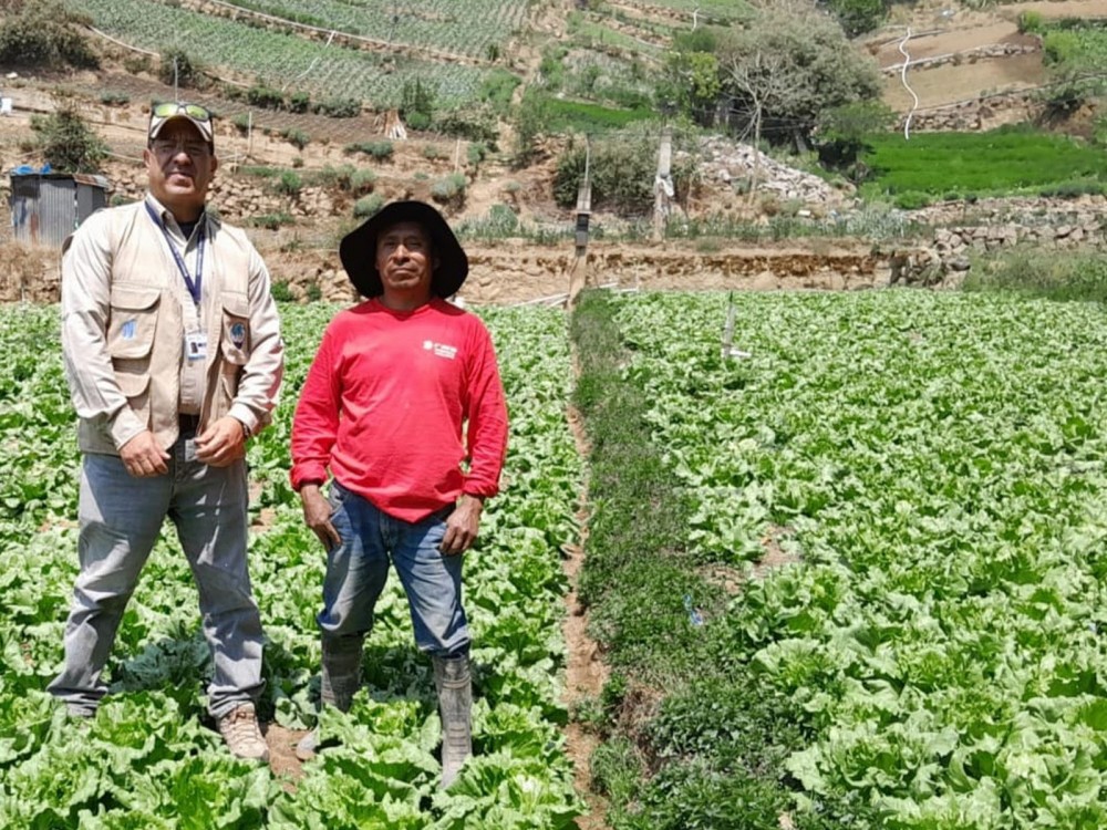 Agricultores de Quetzaltenango reciben insumos 