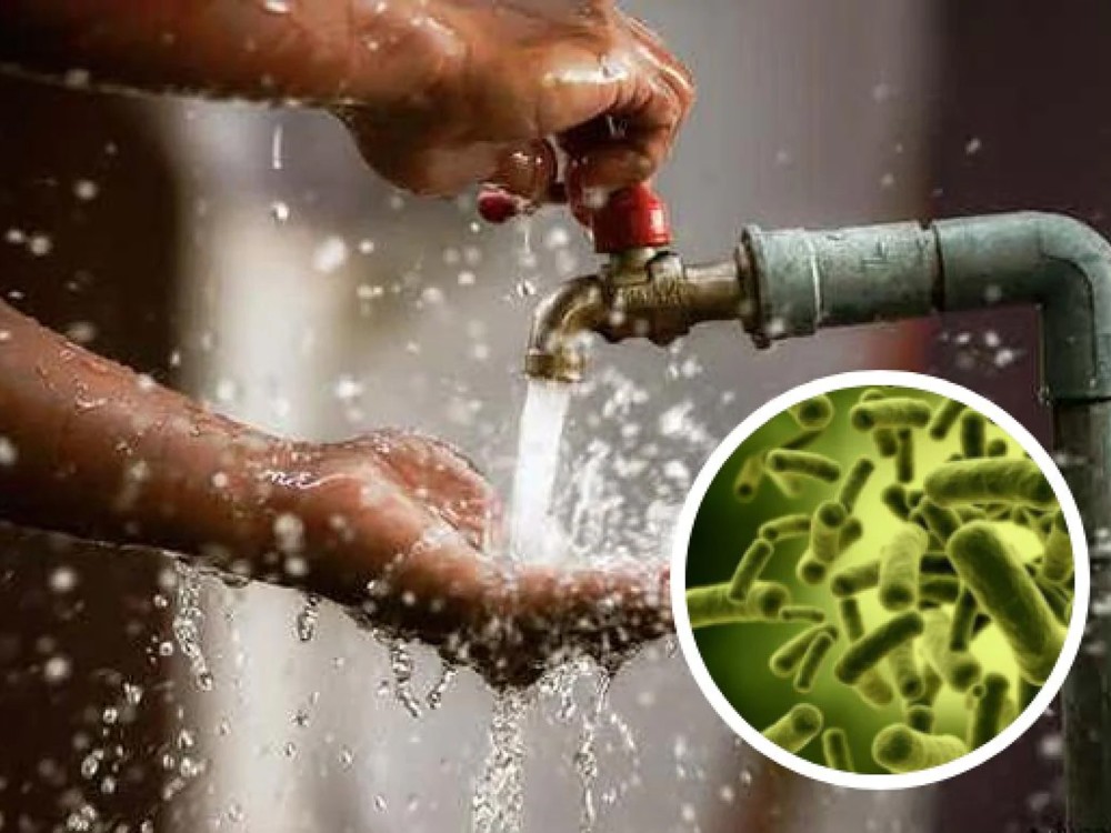 Alerta Epidemiológica Preventiva en Guatemala por Brotes de Cólera en Brasil