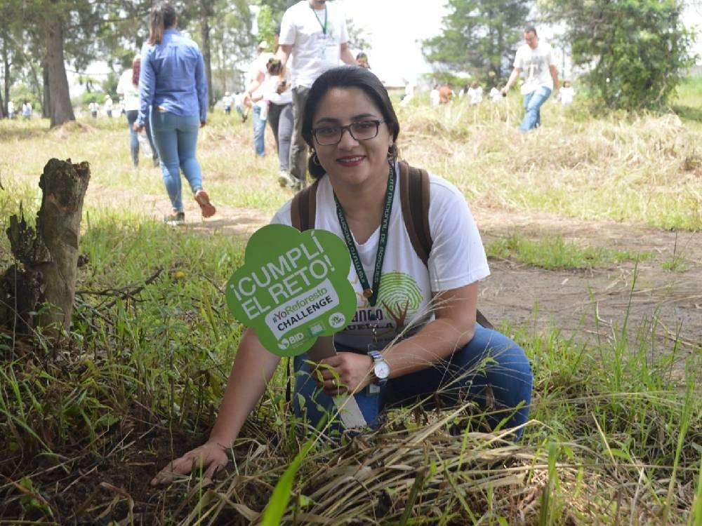 Anuncian 75 jornadas de reforestación
