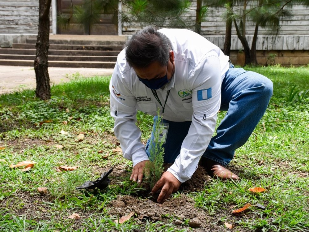 AUDIO: Realizan lanzamiento de programa “Sembrando Huella”  