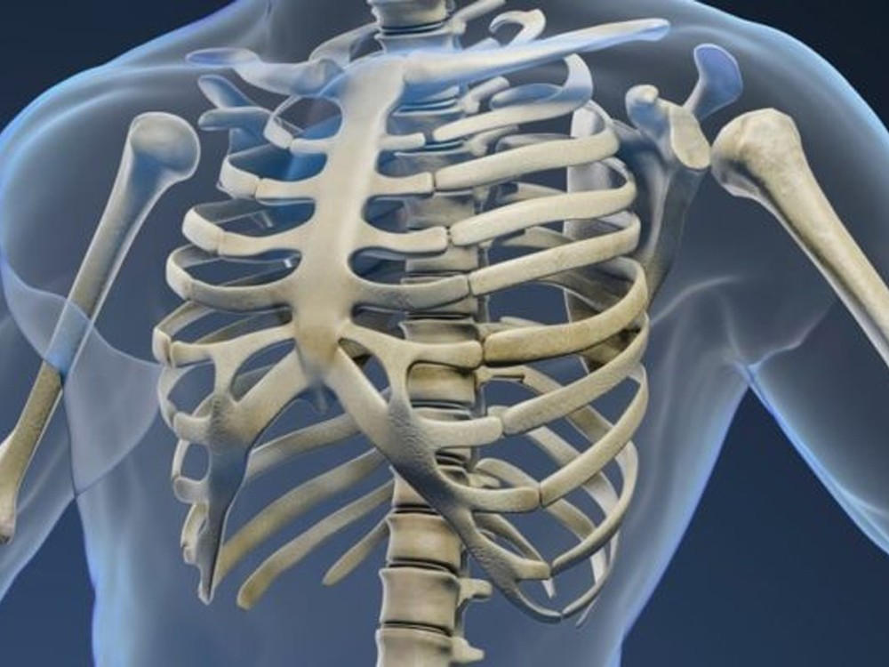 Cuál es el hueso más pequeño del cuerpo humano 