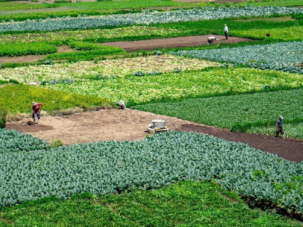 ECONOMÍA | El PIB 2025 y los potenciales económicos del suroccidente del país 