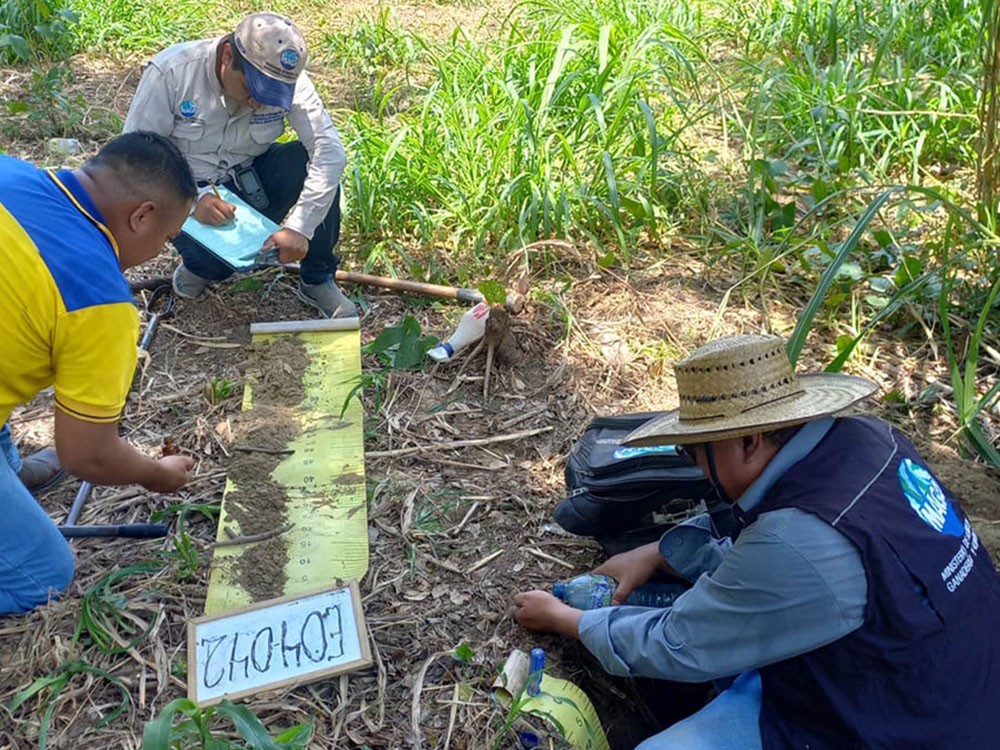 Estudios de suelos contribuyen a mejorar la producción agrícola