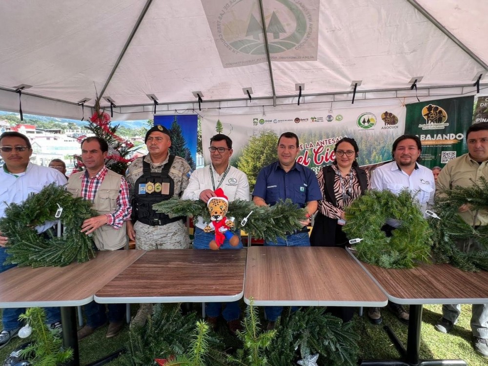 Feria del Pinabete en Huehuetenango ofrece productos navideños