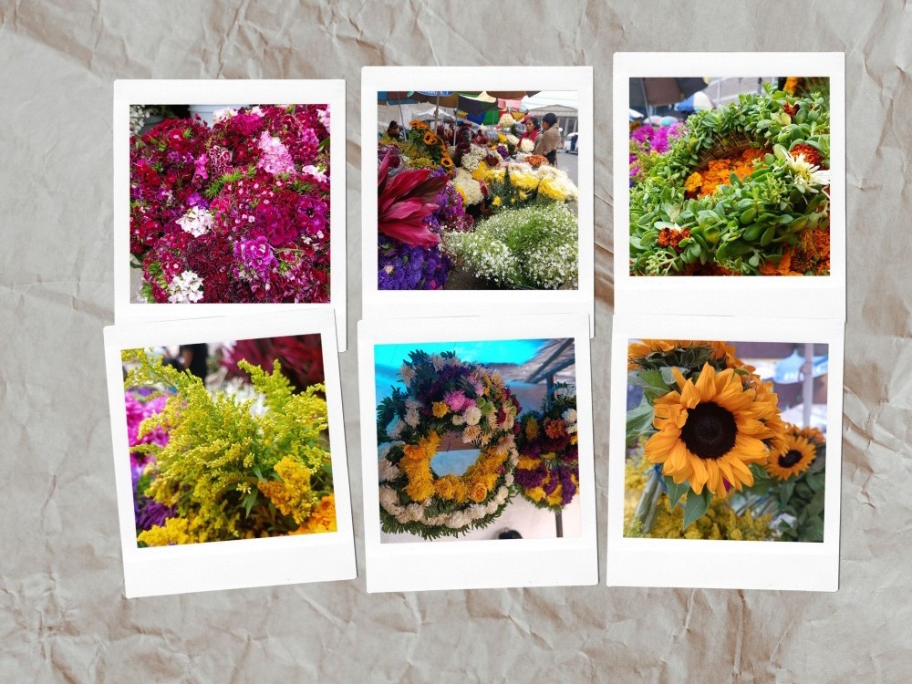 FOTOS: Las coloridas flores para el  Día de Todos los Santos 
