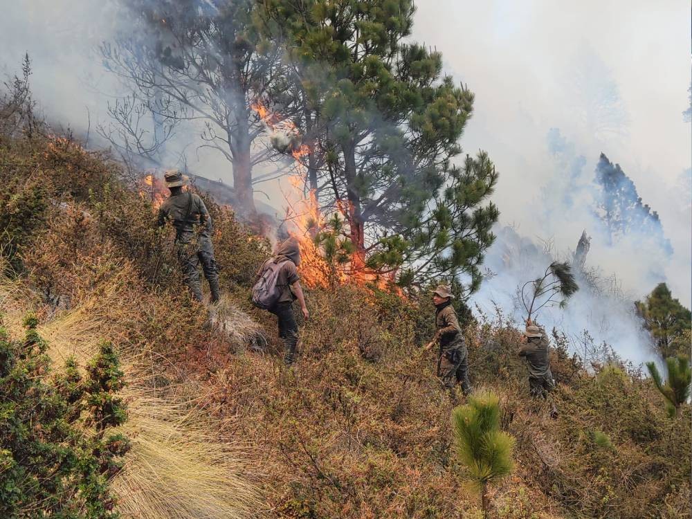 Fuego sigue consumiendo bosque en faldas del volcán Tajumulco