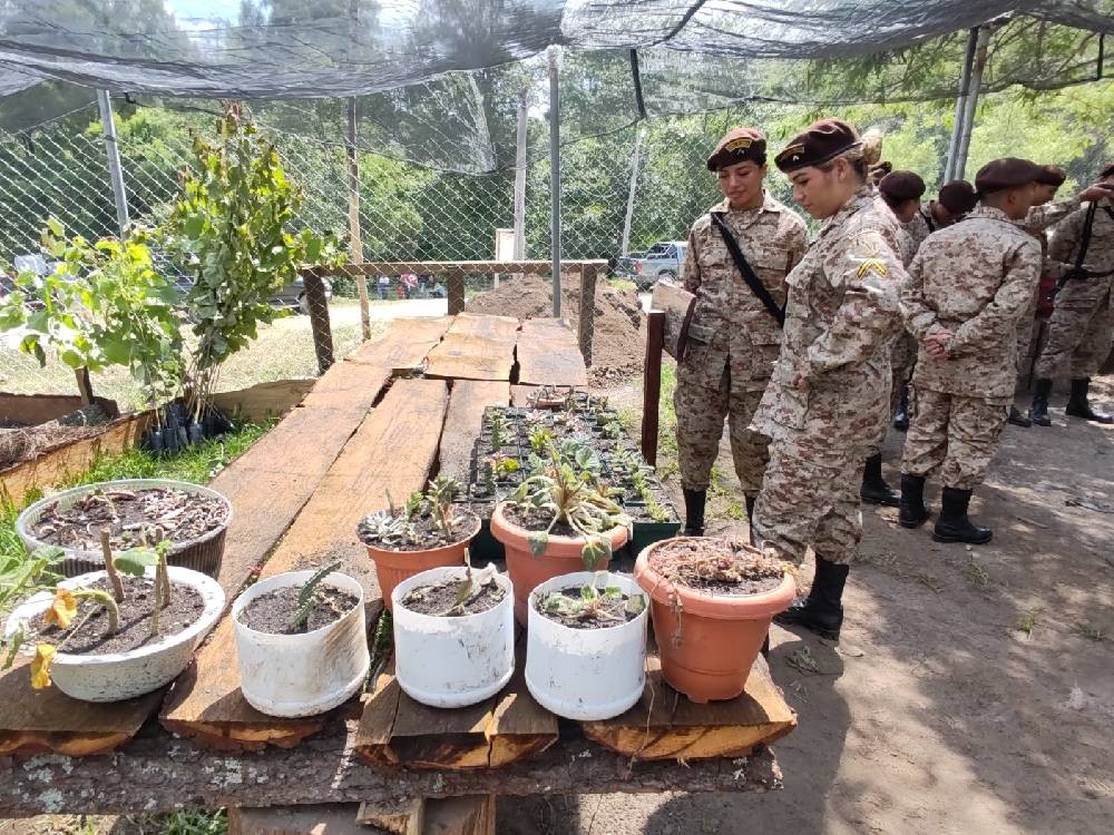 Implementan vivero para apoyar jornadas de reforestación