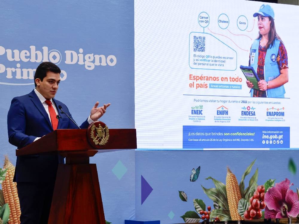 INE anuncia que realizará cuatro encuestas nacionales