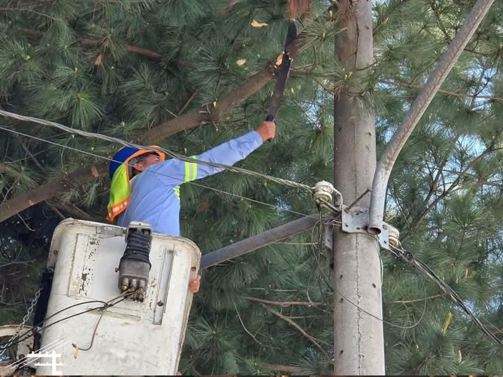 Inician poda de árboles en San Marcos para evitar problemas en la red eléctrica 