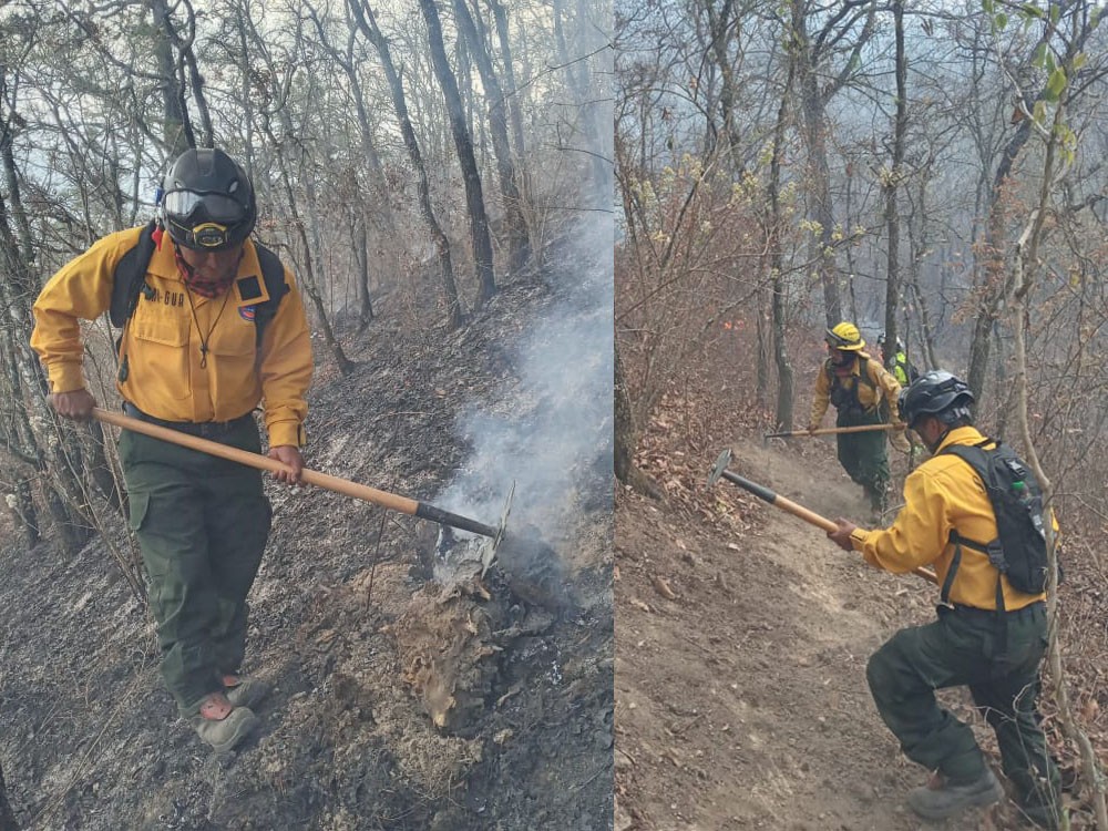Investigan incendio forestal provocado para robar en viviendas