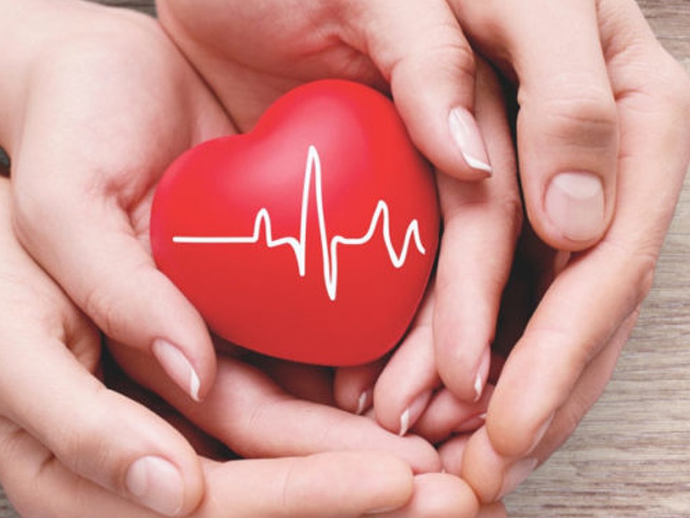 La OMS insta a invertir en acciones de «Una sola salud» para mejorar la salud de las personas y del planeta