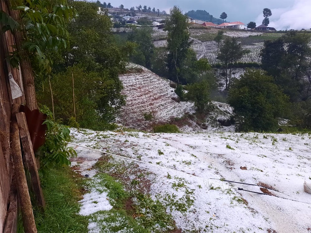 Lluvias causan daños en municipios del altiplano ante la caída de granizo