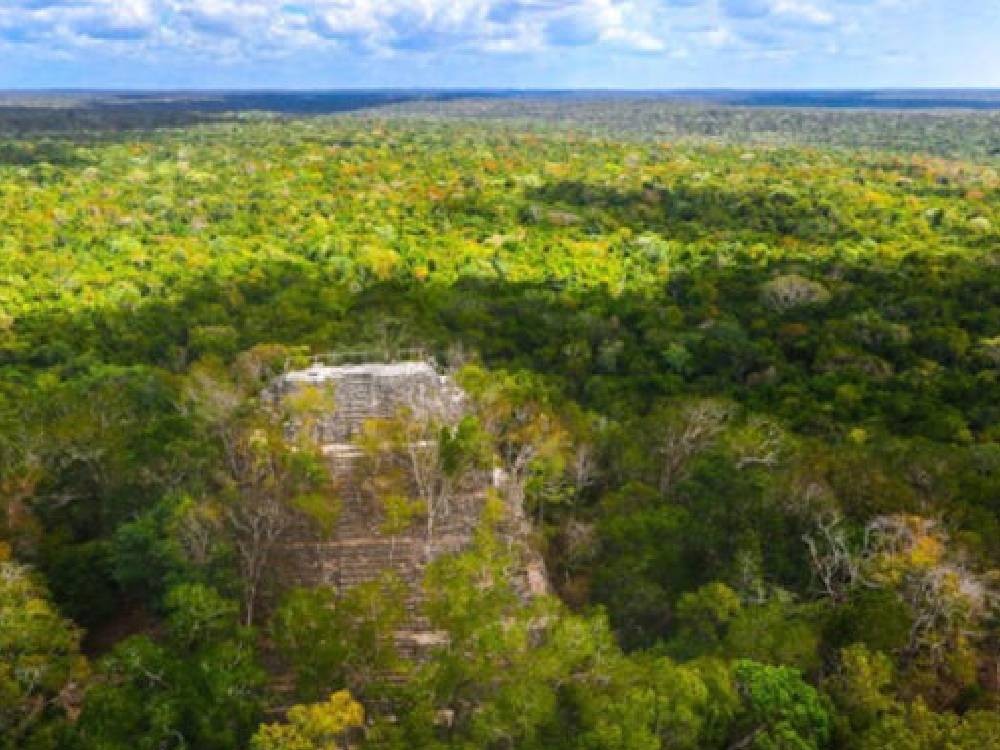 Ministra de Ambiente suspende Plan Maestro en la Biósfera Maya al señalar irregularidades