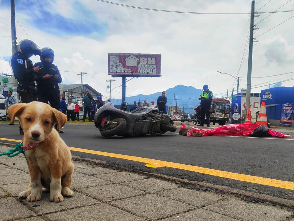 Mujer muere al ser arrollada cuando conducía su motocicleta en compañía de su perrito