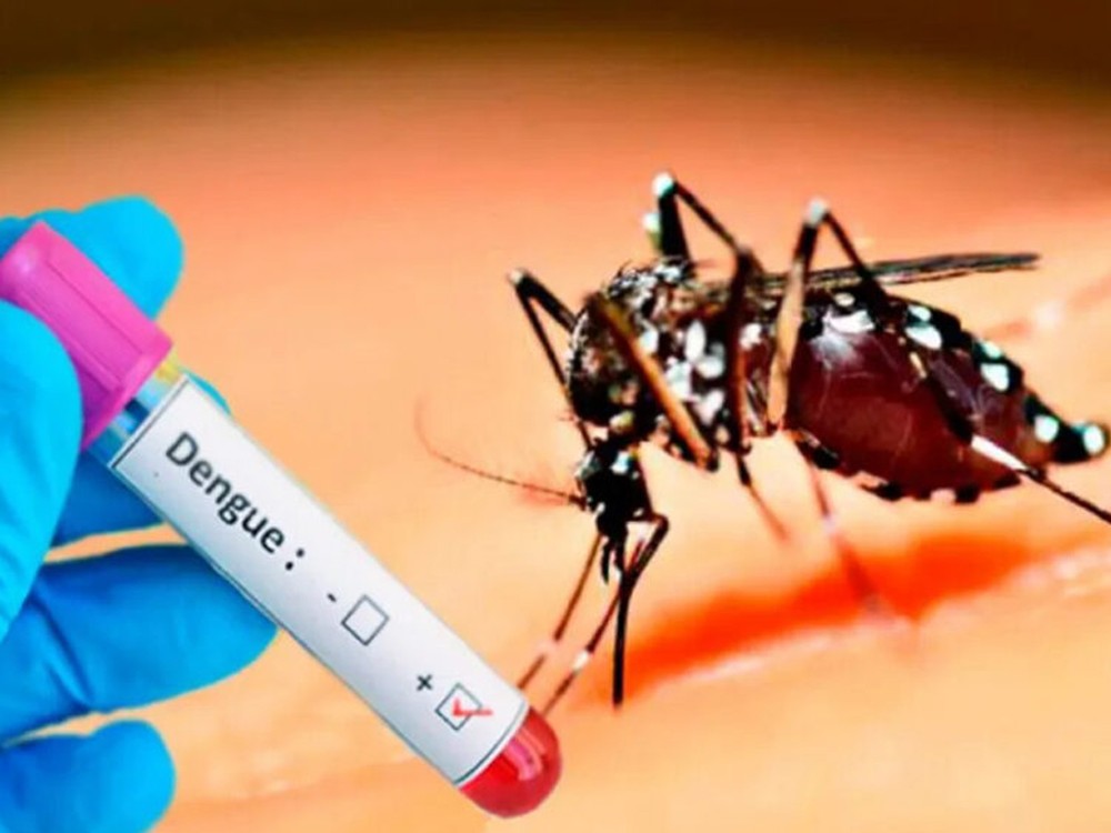 Quetzaltenango ocupa el sexto lugar a nivel nacional en la detección de casos de dengue