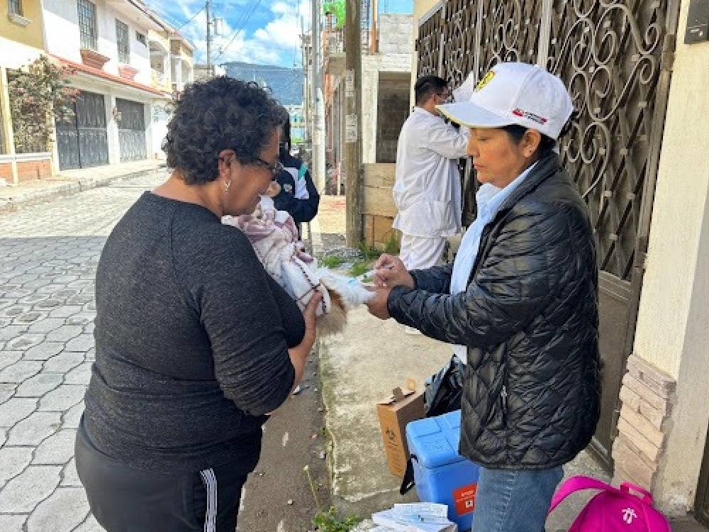 Salud pretende vacunar a 40 mil perros y gatos contra la rabia solo en Xela 