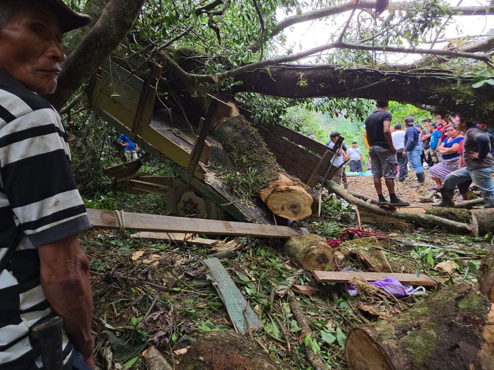 Tragedia en Chicacao: Cuatro muertos y tres heridos tras caer árbol de grandes proporciones