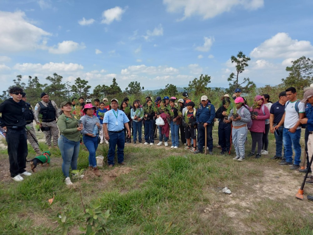 Unen esfuerzos para reforestar terreno comunitario