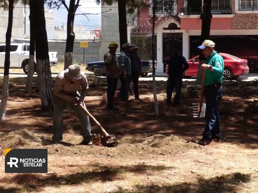 VIDEO | Promueven conservación forestal con talleres educativos 