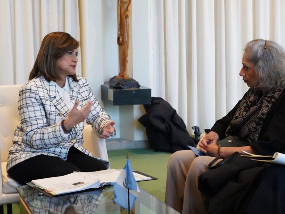 Vicepresidenta aborda temas ambientales con autoridades de la ONU