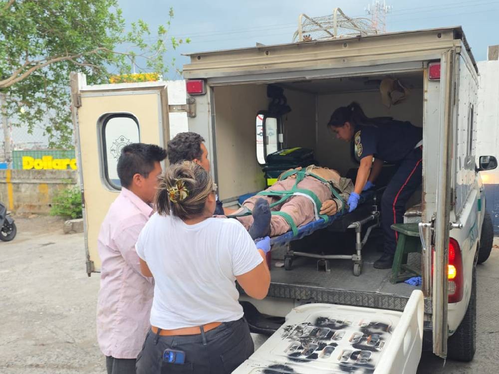 Adulto mayor en estado delicado tras caer de un árbol de 12 metros de altura