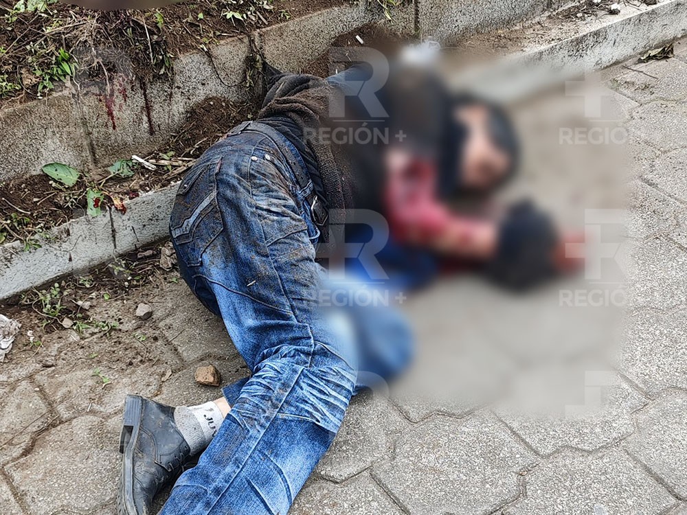 Alarma en San Pedro Sacatepéquez por ataque de jauría: temen nuevos incidentes