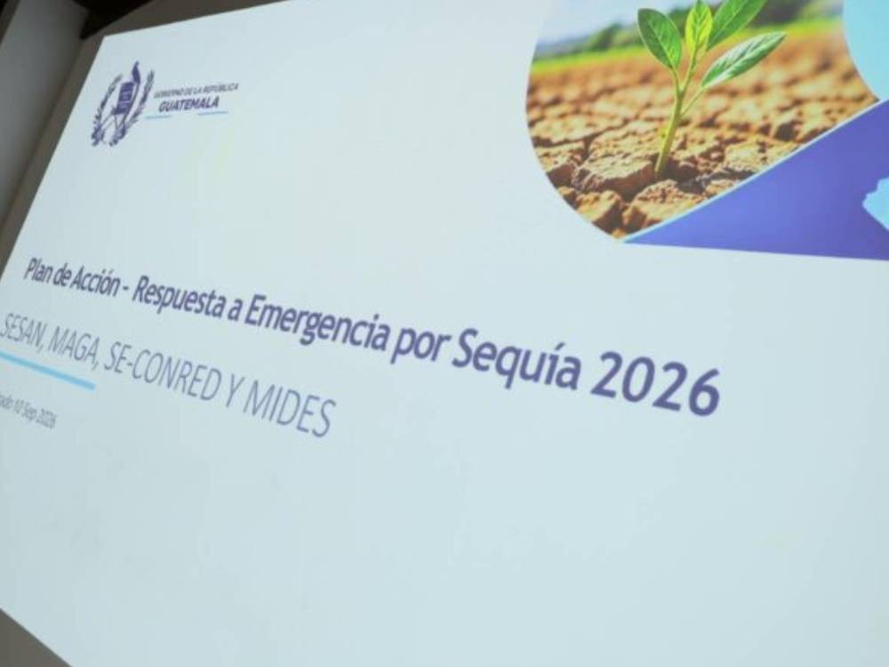 Anuncian plan de acción ante la sequía para apoyar a familias guatemaltecas