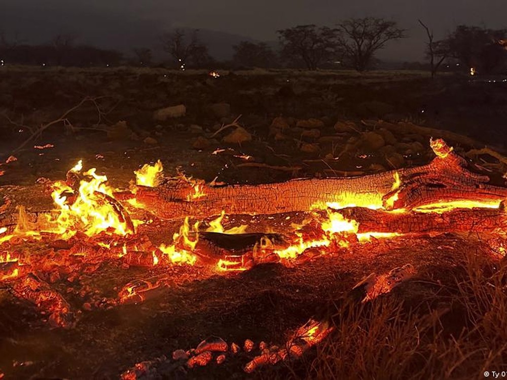 Asciende cifra de muertos en incendios forestales en Hawái 
