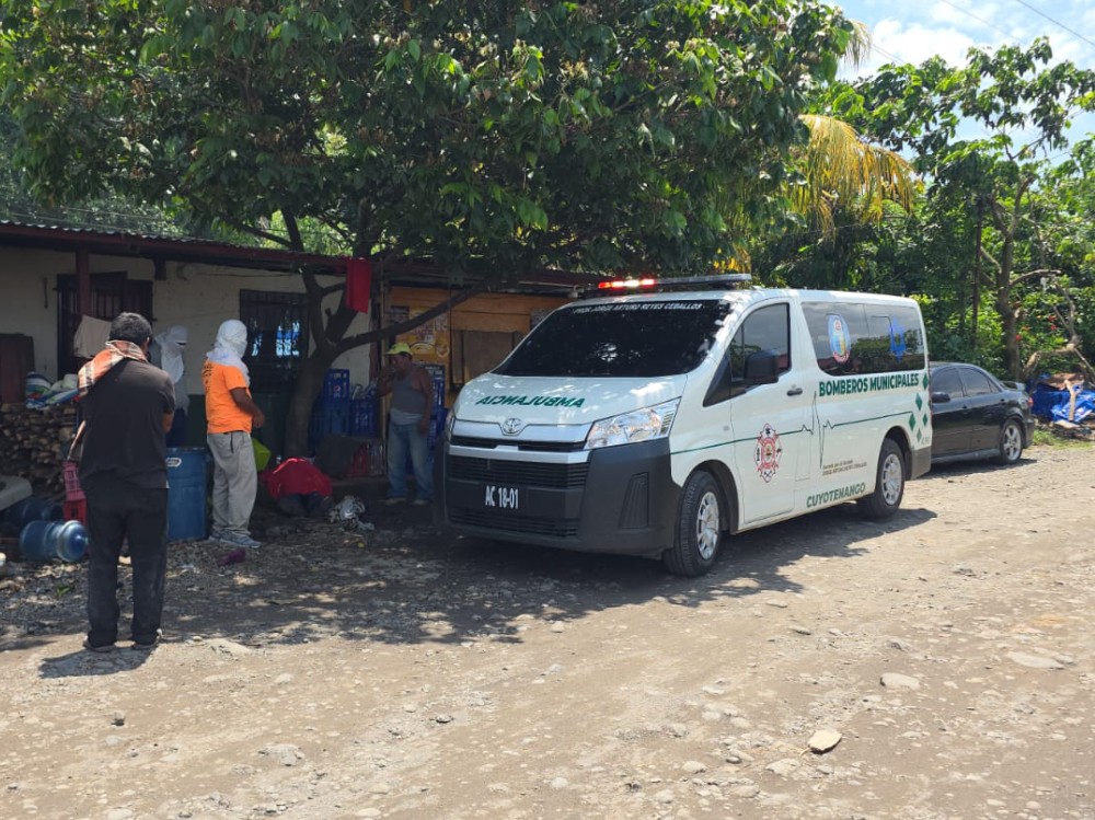 Ataque de enjambre de abejas deja un fallecido y decenas de afectados en Cuyotenango