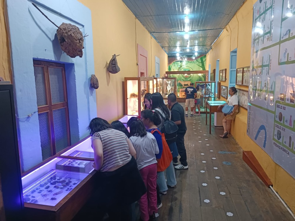 Aumenta número de visitantes al museo de Historia Natural de Quetzaltenango 