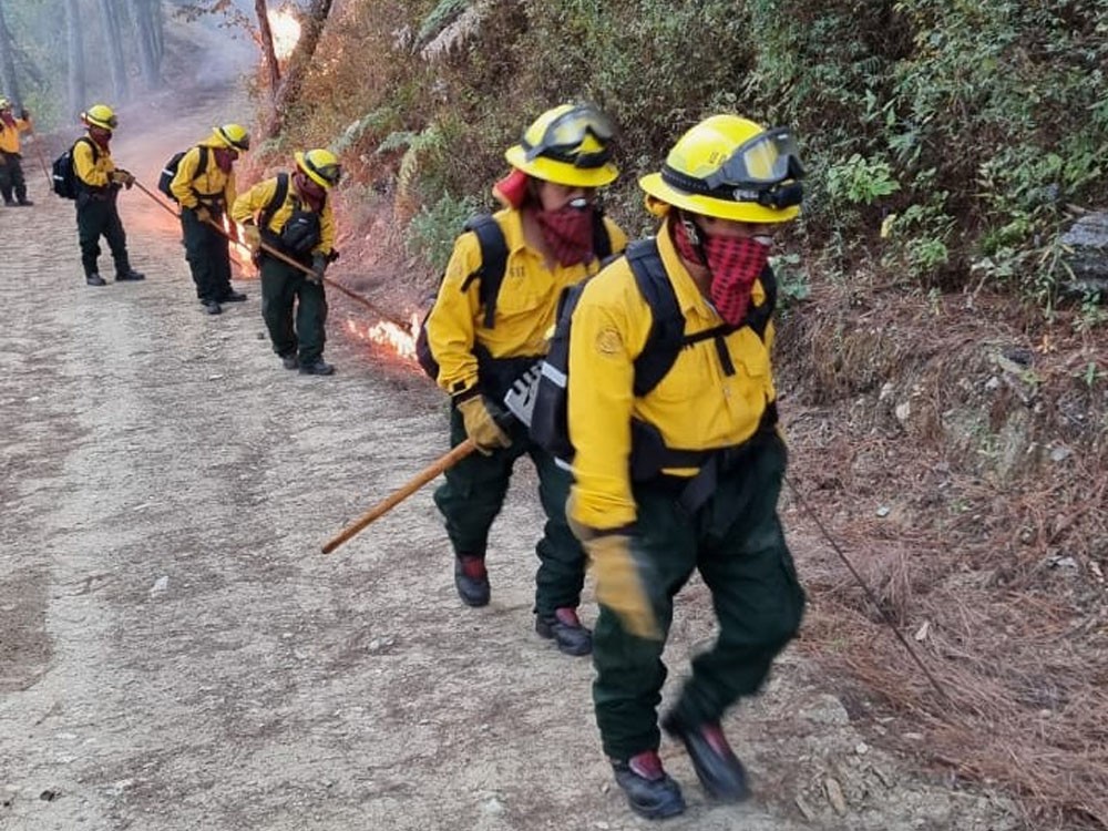 Avanza proceso de creación de cuadrilla forestal