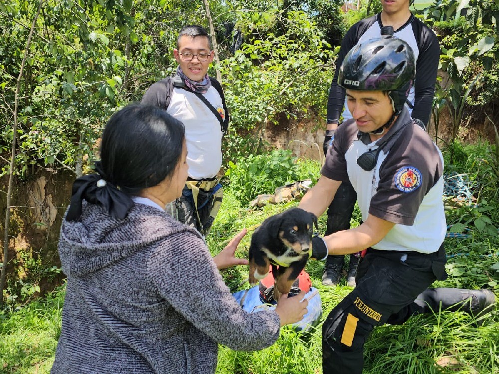 Bomberos rescatan a un perro del fondo de un barranco