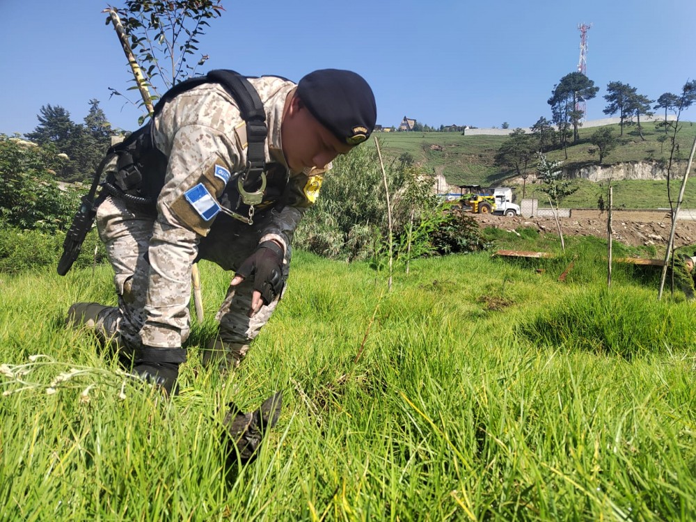 Campaña busca sembrar más de 150 mil árboles en Quetzaltenango