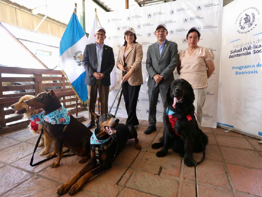 Campaña Nacional de Vacunación Antirrábica busca inmunizar a más de 3.6 millones de perros y gatos