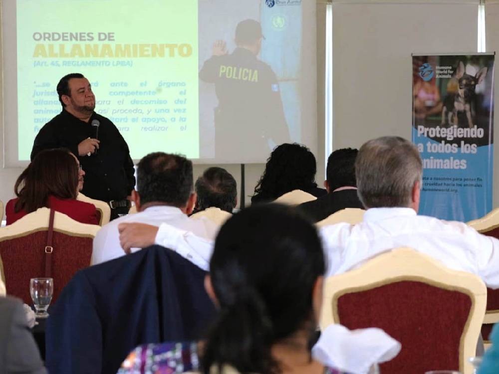 Capacitan a jueces sobre la aplicación de la Ley de Bienestar Animal