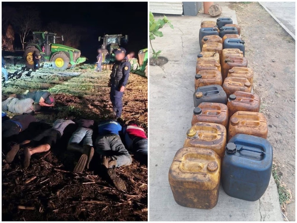 Capturan a ocho trabajadores de finca por robo de combustible 
