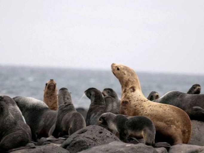 Científicos advierten sobre la necesidad urgente de un cambio transformador para salvar la biodiversidad