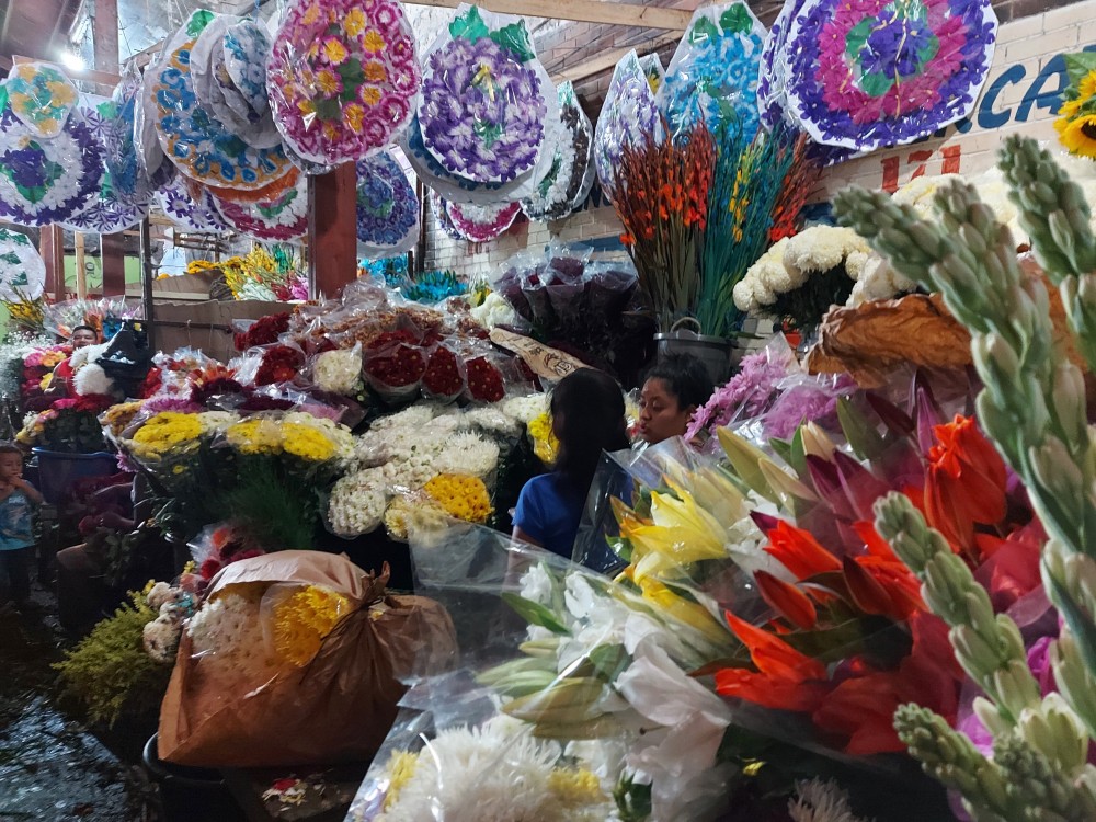 Comerciantes de flores en Suchitepéquez esperan aumentar ventas