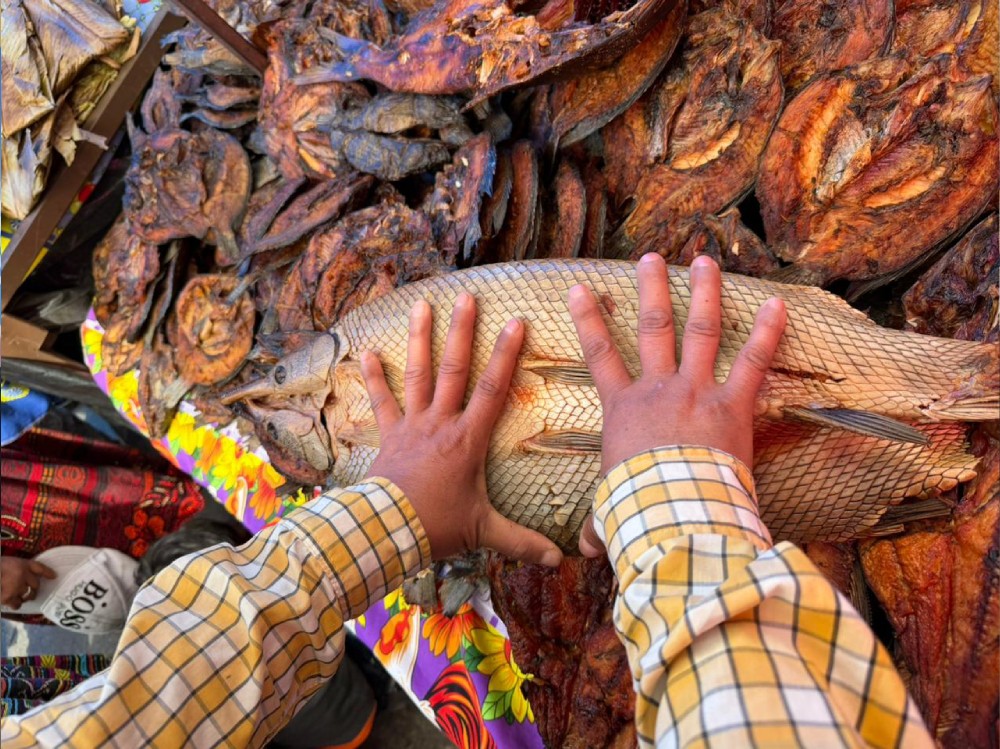 Conap y PNC decomisan carne de animales silvestres en Quetzaltenango, un hombre fue capturado 