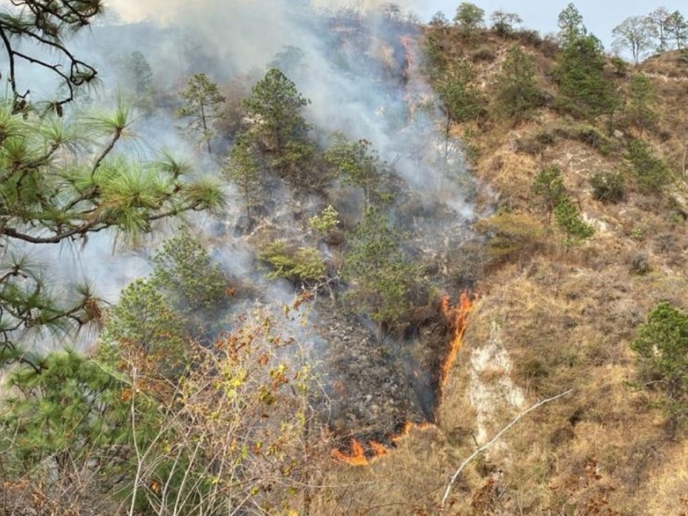 Conred abre curso en línea masivo sobre incendios forestales