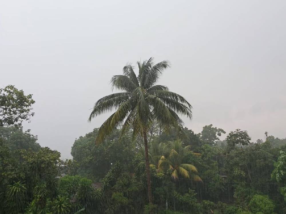 Conred advierte sobre efectos del Fenómeno del Niño y prevé lluvias dispersas por disturbio tropical