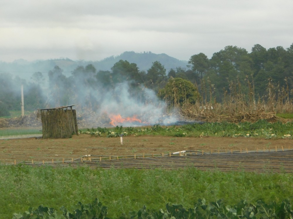 Conred brinda recomendaciones para evitar incendios durante quemas agrícolas