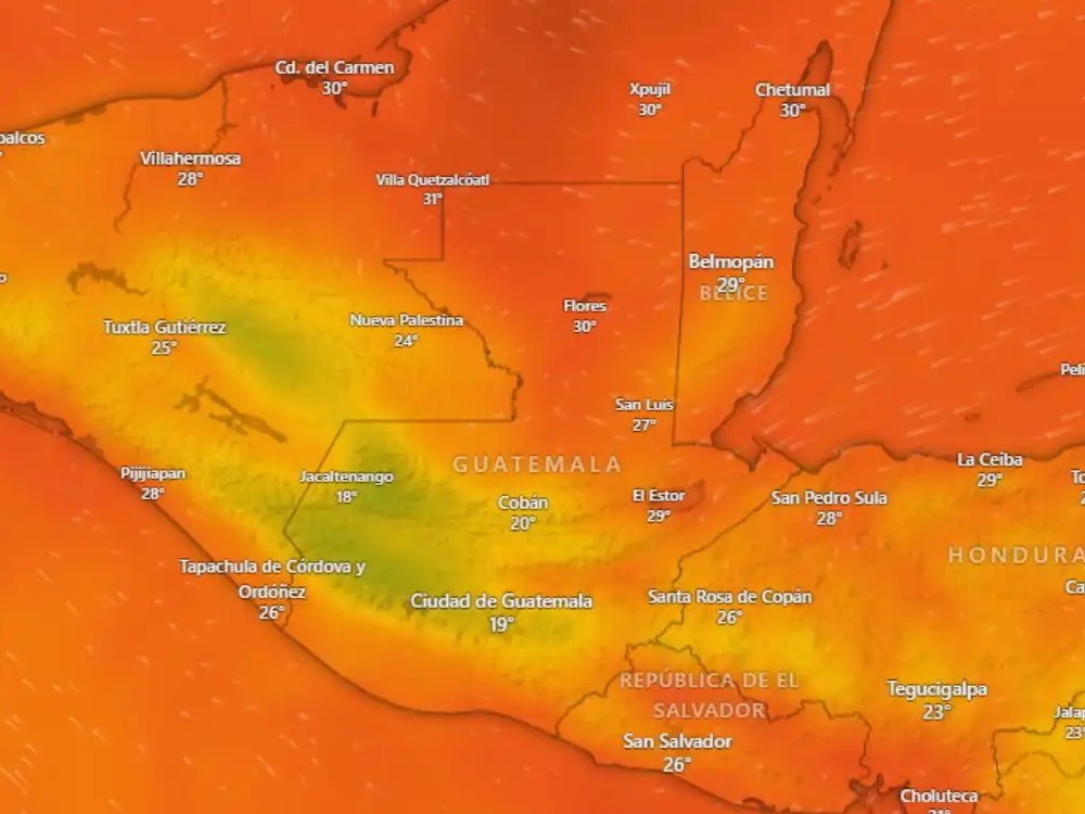 Conred emite recomendaciones ante ola de calor 