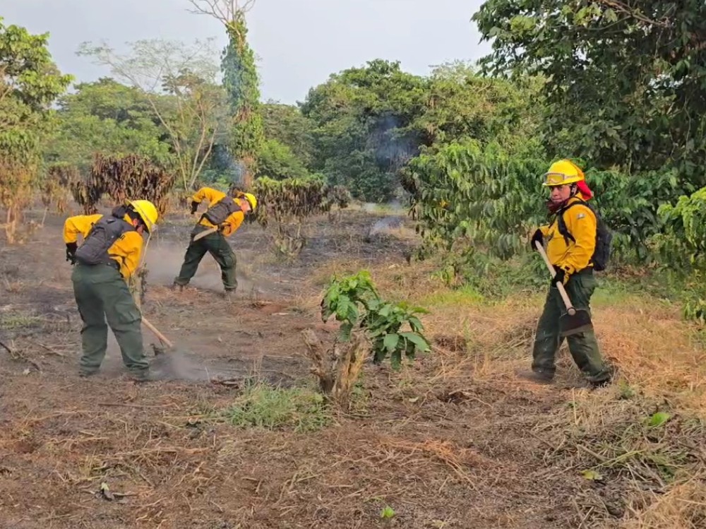 CONRED hace llamado a la prevención en el Día Internacional del Combatiente de Incendios Forestales