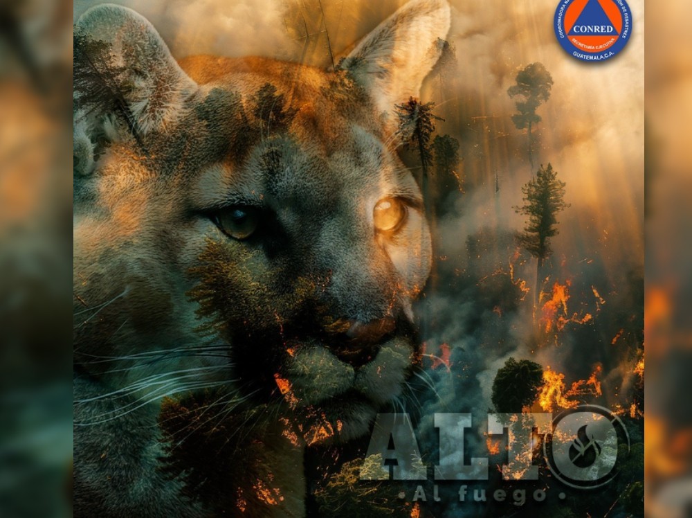 CONRED lanza campaña “Alto al Fuego” para prevenir incendios forestales en Guatemala