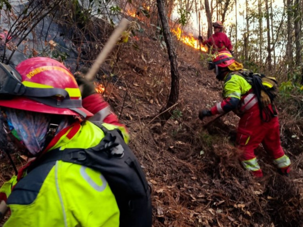 Conred llama a reportar incendios para ayudar a su combate oportuno