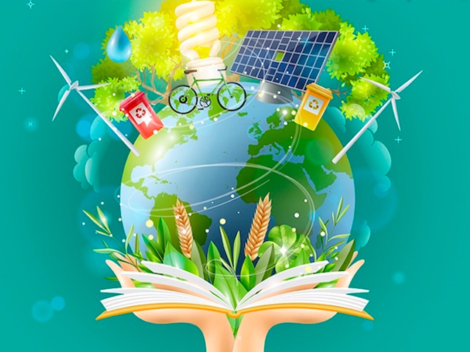 Consejos en el Día Mundial de la Educación Ambiental  