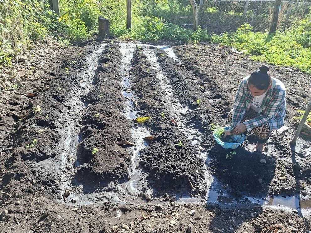 Continúan variaciones climáticas y prevén débil frente frío esta semana