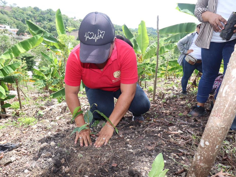 Instituciones y comunidades se suman a jornada de reforestación en San Marcos