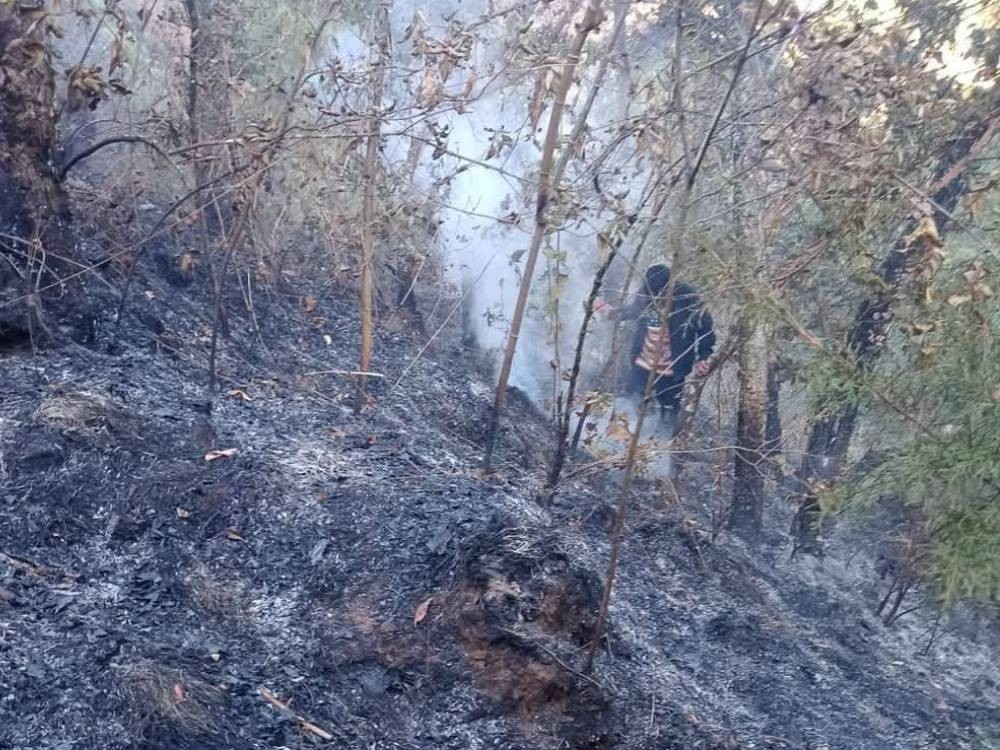 Departamento de San Marcos ya registra dos incendios forestales